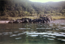 569: Red Island. "Wild Cove beach". (2000) [courtesy of Madonna (Bishop) Mulrooney]